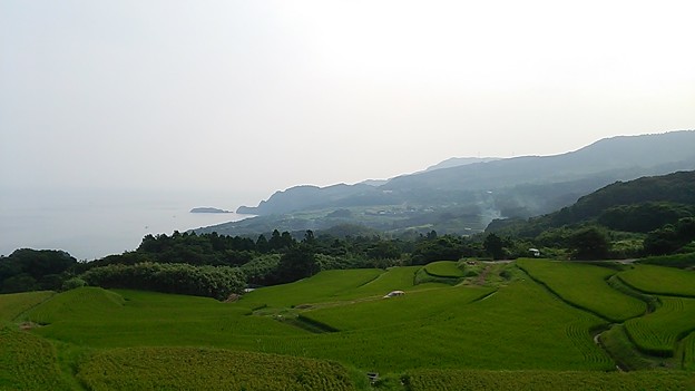 油谷の棚田風景