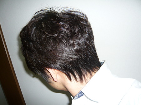 くだらない男のヘアースタイル　其の弐 (2)