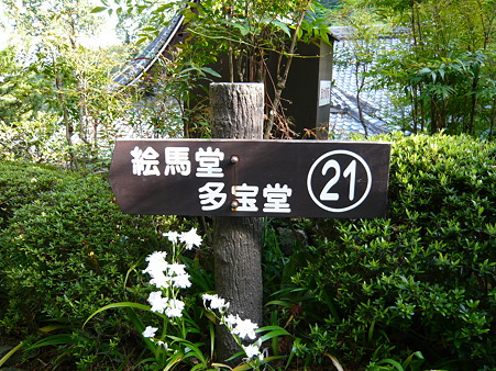 2011.5.8 115