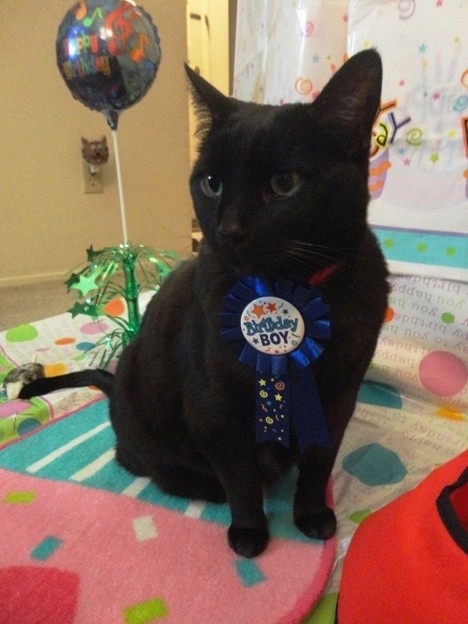 Ekkun_BirthdayBoy-Jan9-2012