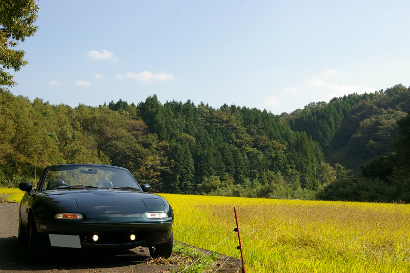 緑に囲まれた緑色のユーノスロードスター
