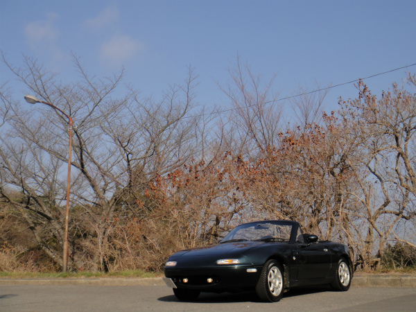 「 いつもの駐車場 」 にて