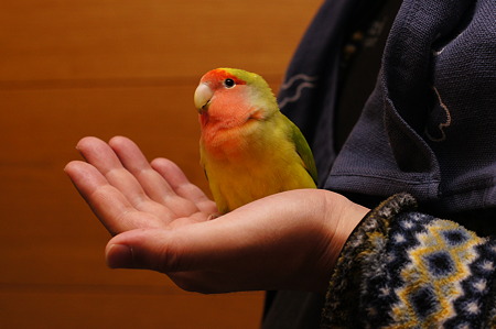 DSC03747