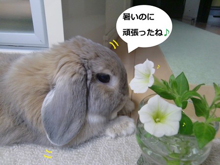 花2