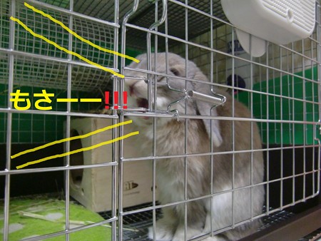 あ4