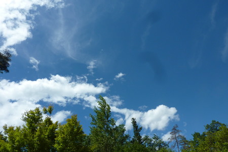 P1090966