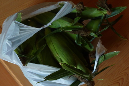P1100063