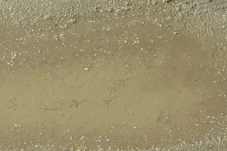 P1100296