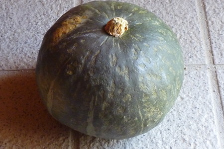 P1100388