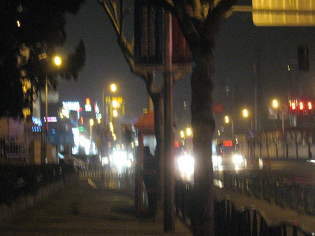 夜の上海
