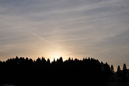DSC_3659