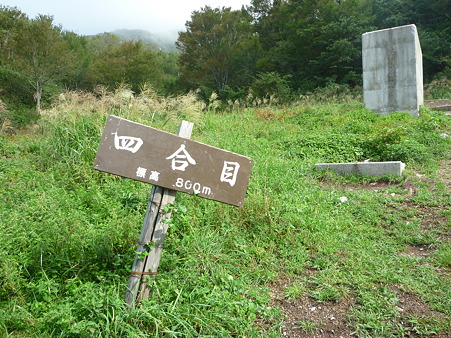P1000971