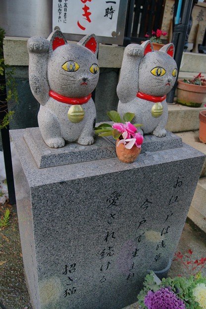 浅草・今戸神社の招き猫