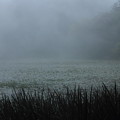 Photos: 霧の池