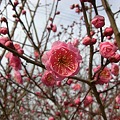 Photos: 春の予感♪