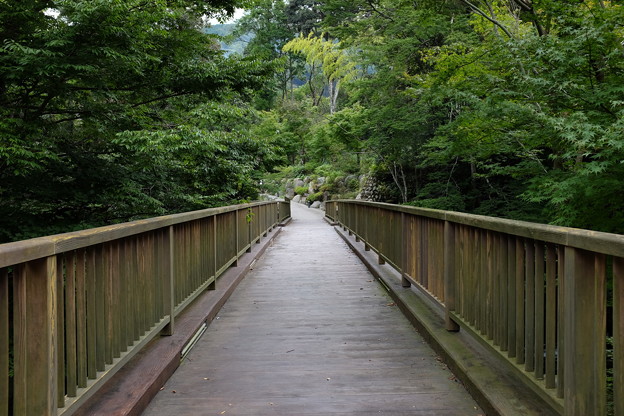 湯ヶ島温泉の女橋